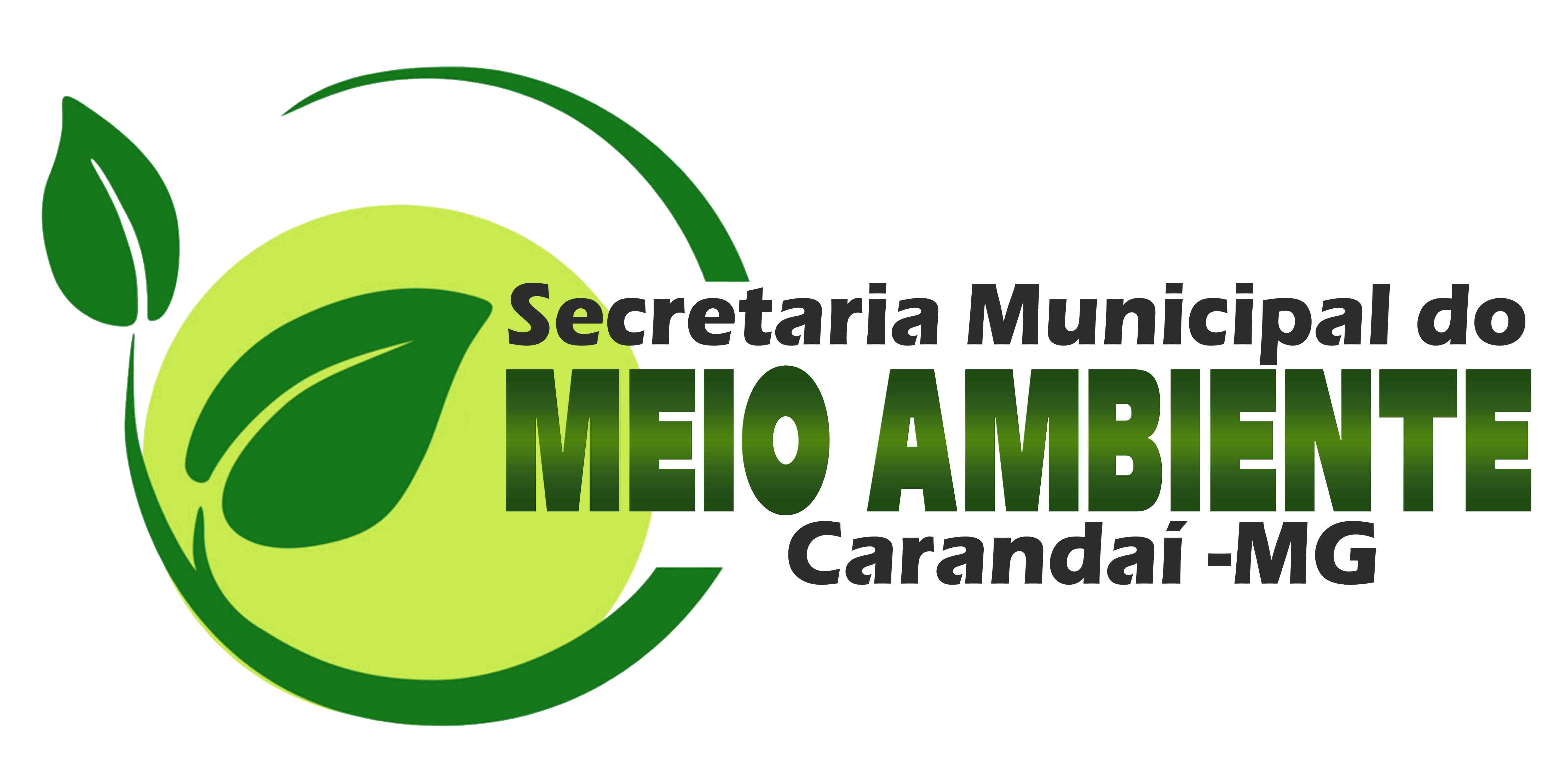 logo MEIO AMBIENTE 02